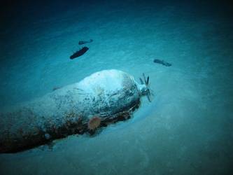 Torpedo on seabed